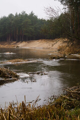river in the forest, liw small river in Poland