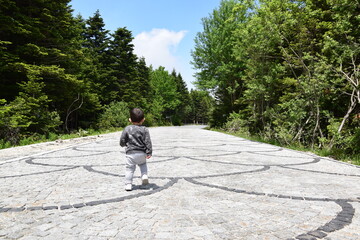 Boy walking in the forest