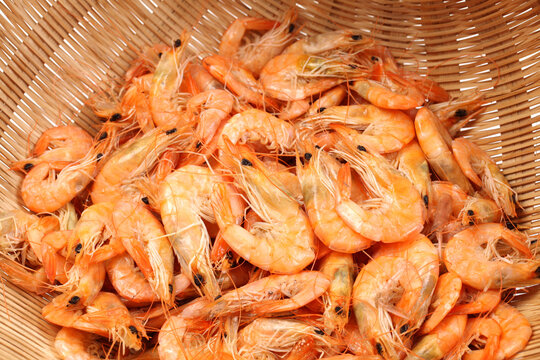 shrimps  background