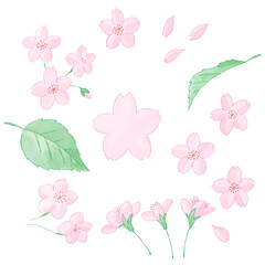 桜の花びらと葉っぱの手描き水彩風イラストのセット