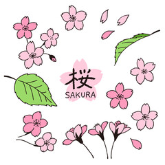桜の花びらと葉っぱの手描き線画イラストのセット