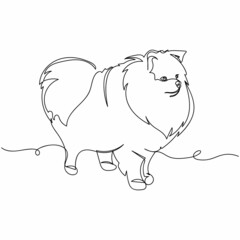 Continuous one simple single abstract line drawing of cute beautiful pomeranian dog portrait animal concept icon in silhouette on a white background. Linear stylized.
