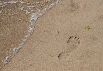 Footprints of a man on the yellow beach sand from walking barefoot by the sea with water that washes away the footprints.