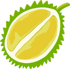 Isolated vector colourful half of durian fruit in cartoon style