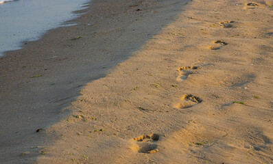 Footprints of a man on the yellow beach sand from walking barefoot by the sea with water that washes away the footprints.