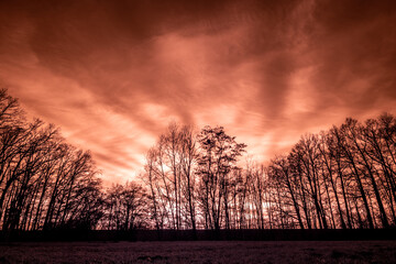 Fototapeta blask zachodzącego słońca za drzewami na nierealnym obrazie obraz