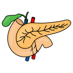 Alimentary canal Vector color Icon Design, Organ System Symbol, Human Anatomy Sign, Human Body Parts Stock illustration, Human Pancreas Concept, 