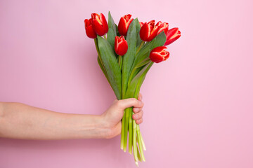 A man's hand holds a bouquet of tulips on a pink colored background. Space for text. Postcard. Holiday. Women's Day. Valentine's Day