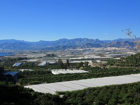 Large bright tubular plastic agricultural greenhouses with city of Motril and Sierra Nevada mountains Southern Spain.
