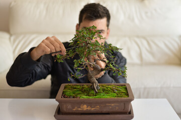 Boy carefully pruning a bonsai to shape it