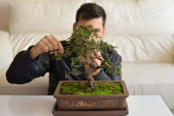  Podando un bonsai de olmo © Alejandro