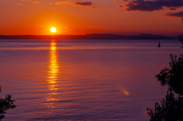 Beautiful sunset over Adriatic sea on Rab island in Croatia with silhouettes of pine trees in foreground