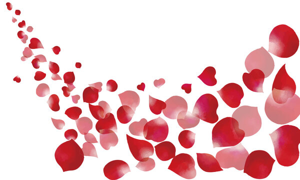 Kanichi Photos Images Assets Adobe Stock