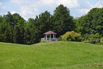 gazebo on a green meadow