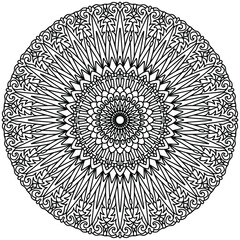 modern mandala drawn with floral ornaments in folk style for coloring on a white background, vector mandala