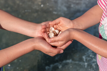 Children holding seashells in their hands against the backdrop of the blue sea