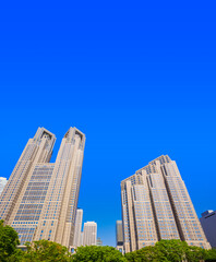 Fototapeta na wymiar 高層ビル　都庁　東京都庁　見上げた都庁　新緑　青空　ブルー　コピースペース　