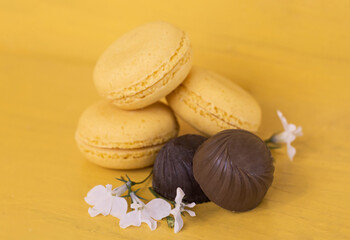 macaroons with chocolate and delicate white flowers on a yellow background