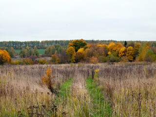 landscape on a cloudy autumn day