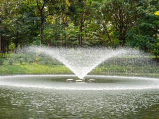 fountain in the park green leaf background