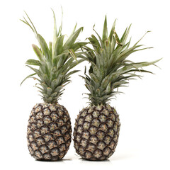 Pineapple on a white background