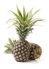 pineapple on white background