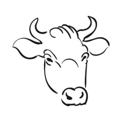 Vector colorful illustration of cow head isolated on white background