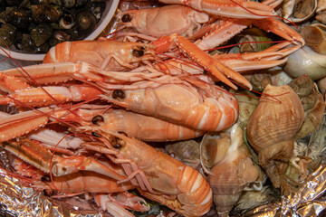Plateau de fruits de mer