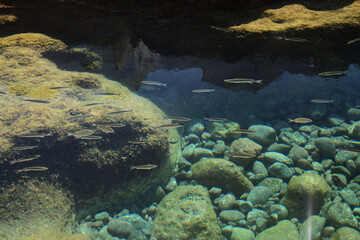 Gran Canaria, calm rock pools under steep cliffs of the north coast are 
separated from the ocean by volcanic rocks of platform constructed by old lava flows
Punta de Galdar area