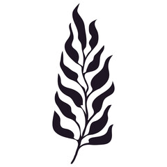 Vector illustration of palm three leaf isolated on white background