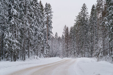 Untouched nature of Lapland. Winter forest landscape photo. Empty snowy road stretching into distance with beautiful snow-covered tall centuries-old coniferous trees along route
