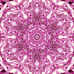 Kaleidoscope repeating pattern with rotational symmetry
, cut red cabbage leaves pattern