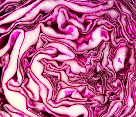 Obraz premium Cut though the middle of a red cabbage head, beautiful dark purple and white patterns revealed 