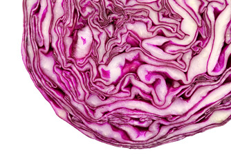 Obraz premium Cut though the middle of a red cabbage head, beautiful dark purple and white patterns revealed 