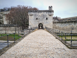 Obraz premium View of the Avignon bridge, South of France