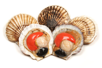 Raw scallop 