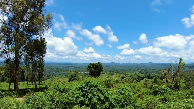 tea garden view at mountain top with bright blue sky from flat angle