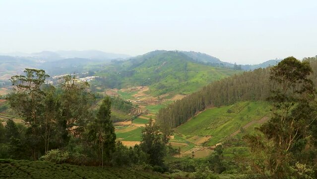tea garden mountain view with countryside farming field at morning