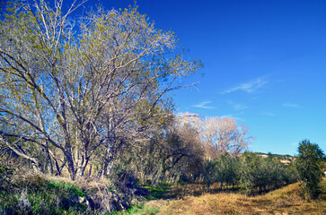 paisaje en Aiguamurcia, Tarragona (España)