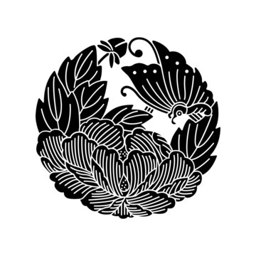 牡丹紋・牡丹に飛蝶（ぼたんにひちょう）/ 牡丹に蝶（ぼたんにちょう）
