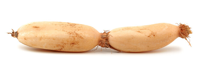 fresh carrot on white background 