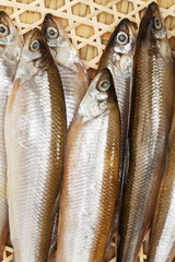 Fish food on a white background