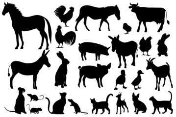 pets set silhouette ,on white background, vector