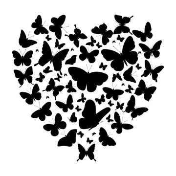 heart from butterflies silhouette ,on white background, vector