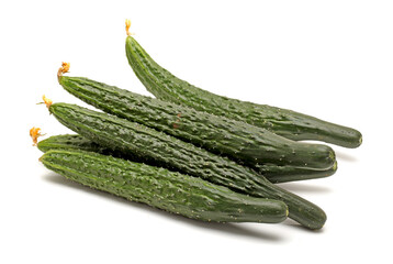 Green cucumber on the white background 