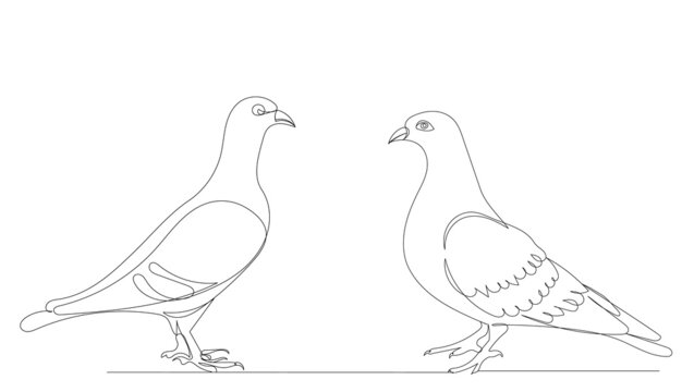 Premium Vector | Dove or pigeon line art