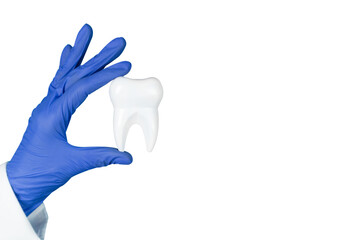 Doctors hand in a glove holds a white tooth on a white background, isolated with copy space