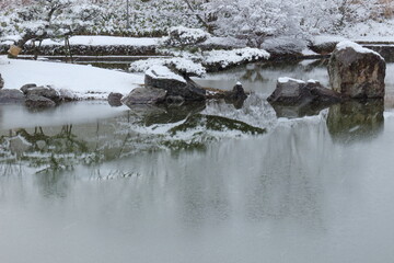 薄氷の張った公園の池