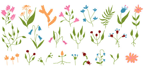 Hand drawn doodle set of color elements, spring and summer abstract plants and flowers