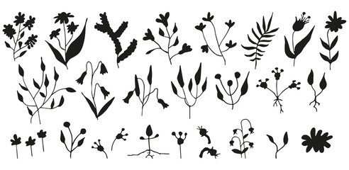 Hand drawn doodle set of black elements, spring and summer abstract plants and flowers, elements for decoration